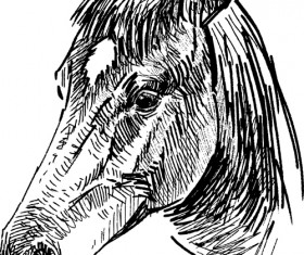 Draw horses vector 05