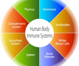 Medical infographics creative design vector 03