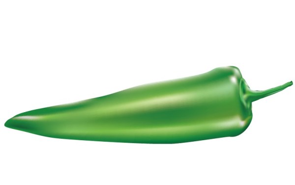Green Chili vector