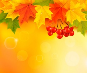 Vector Autumn Leaves Backgrounds art 03