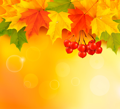 Vector Autumn Leaves Backgrounds art 03