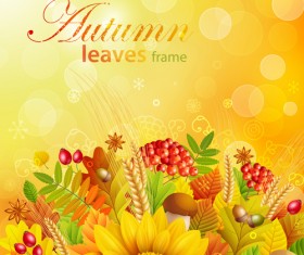 Autumn leaves frame vector set 02