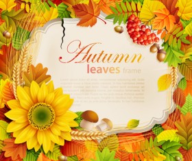Autumn leaves frame vector set 01