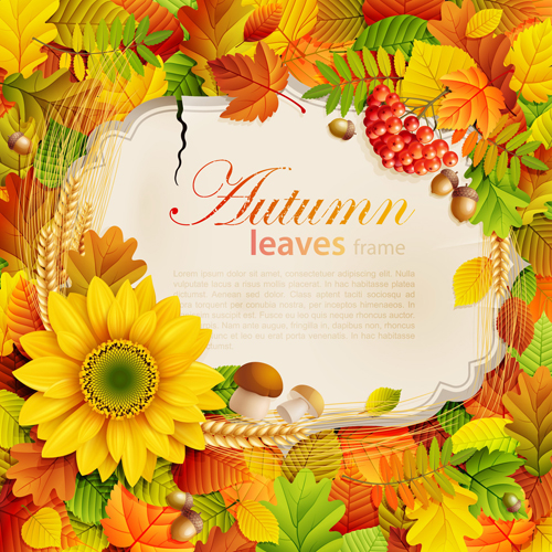 Autumn leaves frame vector set 01
