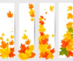 Maple Leaf banners vector set 01