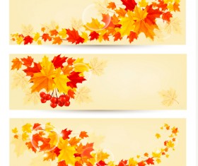 Maple Leaf banners vector set 02