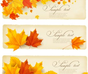 Maple Leaf banners vector set 03