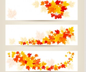 Maple Leaf banners vector set 05