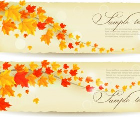 Maple Leaf banners vector set 06
