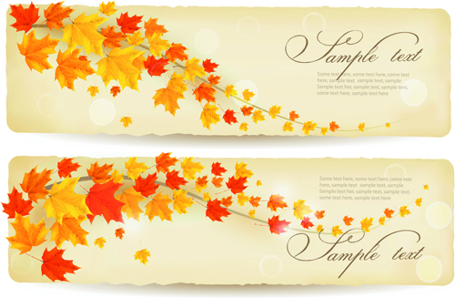 Maple Leaf banners vector set 06