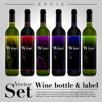 Different bottle design vector 01