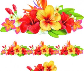 Beautiful flowers vector 02