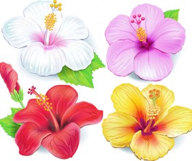 Beautiful flowers vector 04