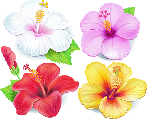 Beautiful Flowers Vector 04 Free Download