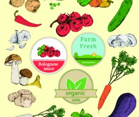 Fresh Food label design vector 01