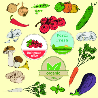 Fresh Food label design vector 01