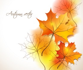 Maple Leaves design elements vector 01
