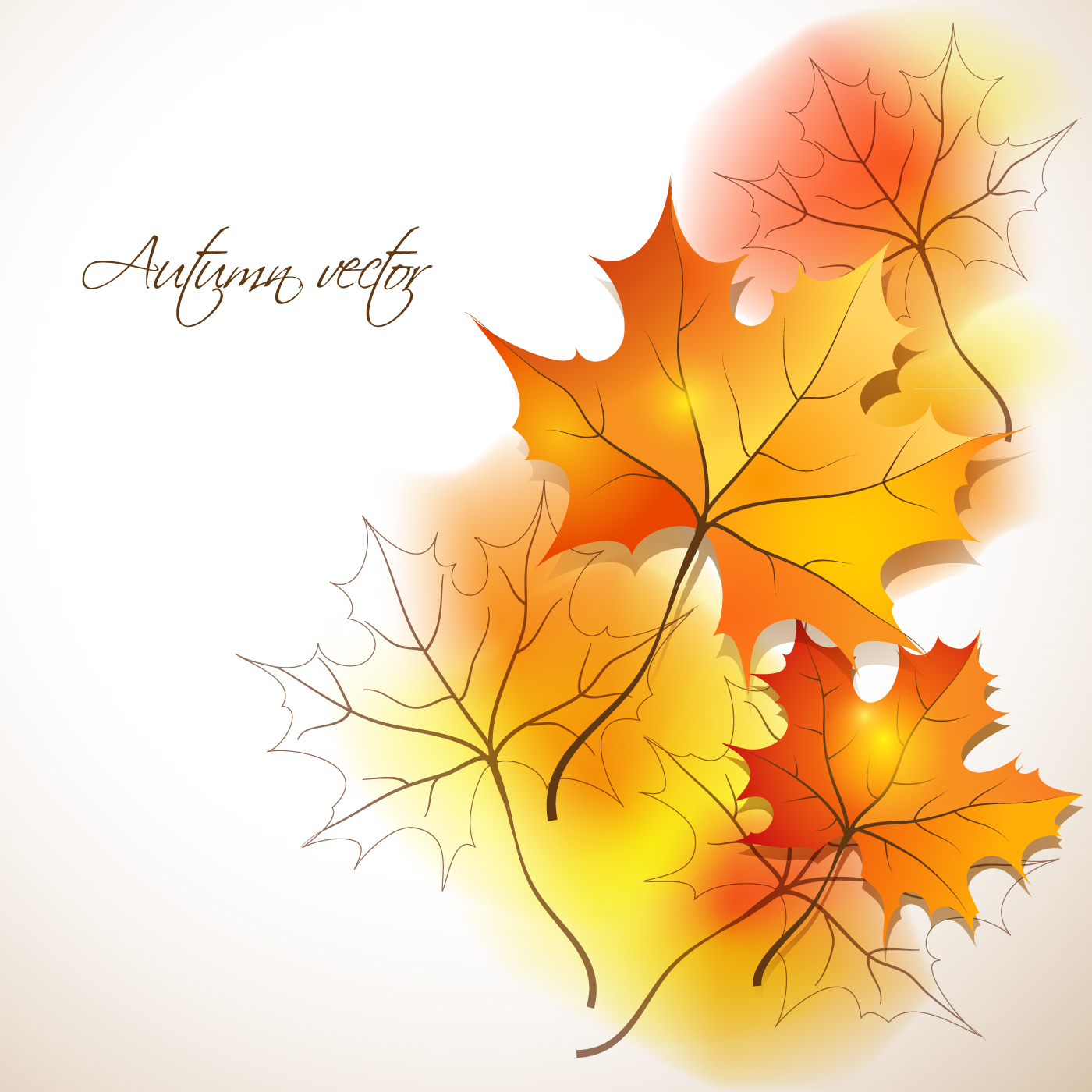 Maple Leaves design elements vector 01