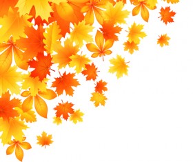 Beautiful autumn Leaves vector 01