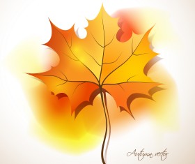 Maple Leaves design elements vector 02