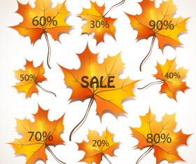 Maple Leaves design elements vector 03