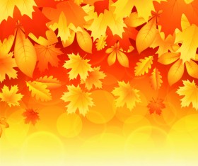 Beautiful autumn Leaves vector 03