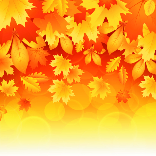 Beautiful autumn Leaves vector 03