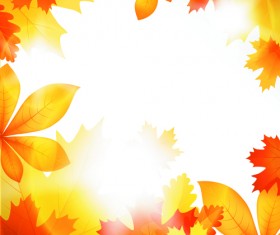 Beautiful autumn Leaves vector 04