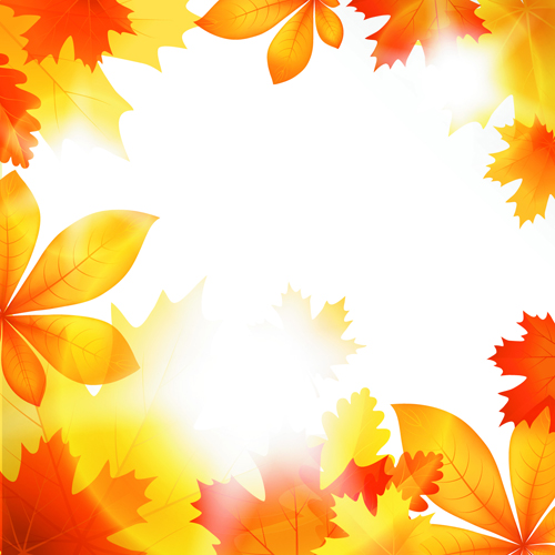 Beautiful autumn Leaves vector 04