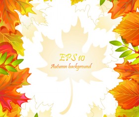 Maple Leaves design elements vector 05