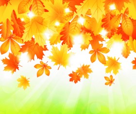 Beautiful autumn Leaves vector 05