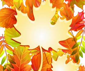 Maple Leaves design elements vector 06