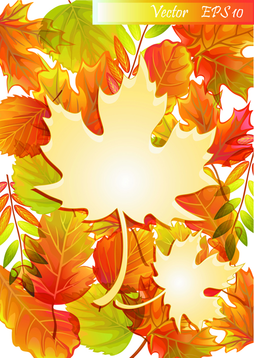 Maple Leaves design elements vector 06