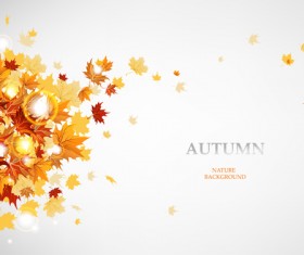 Vector Autumn leaves background graphic 01