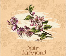 Vintage Spring floral background 14