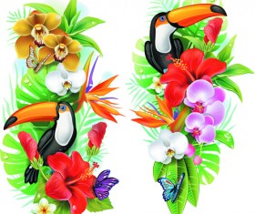 Flowers borders vector set 01