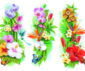 Flowers borders vector set 02