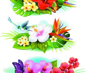 Flowers borders vector set 04