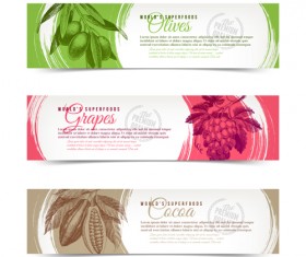 Retro grapes banner design vector 01