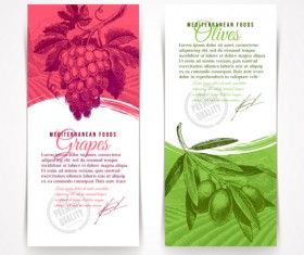 Retro grapes banner design vector 02