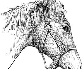 Hand drawn horse vector set 01