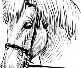 Hand drawn horse vector set 02