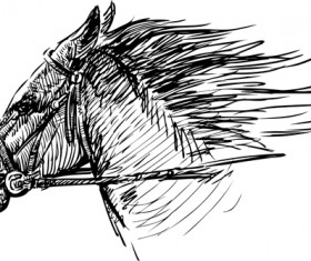 Hand drawn horse vector set 03