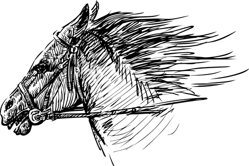 Hand drawn horse vector set 03