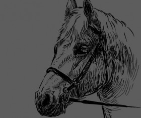 Hand drawn horse vector set 04
