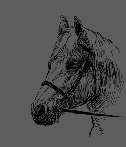 Hand drawn horse vector set 04
