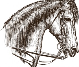 Hand drawn horse vector set 05