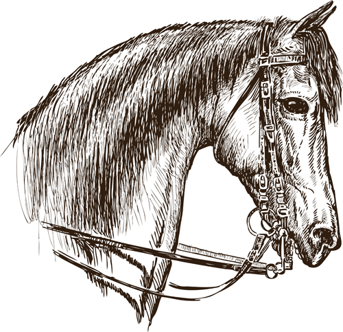 Hand drawn horse vector set 05