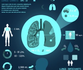 Infographic medical creative vector 01