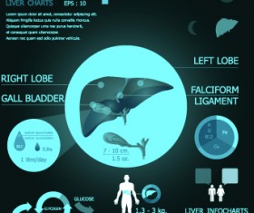 Infographic medical creative vector 02